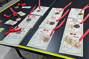 Парламентарий организовал турнир